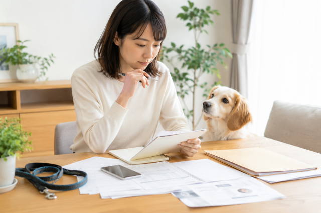 飼い犬が人にけがをさせたときの確認事項