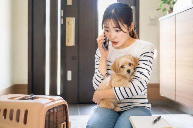 迷子犬について警察や自治体へ連絡するイメージ