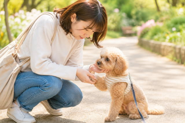 犬同士のトラブル後に犬のけがを確認する飼い主