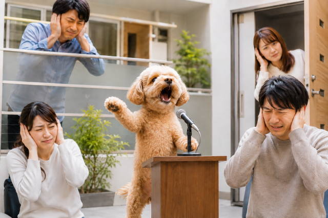 犬の鳴き声トラブルで確認したいこと