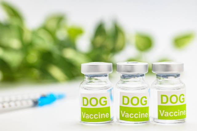 動物用医薬品販売業の制度概要
