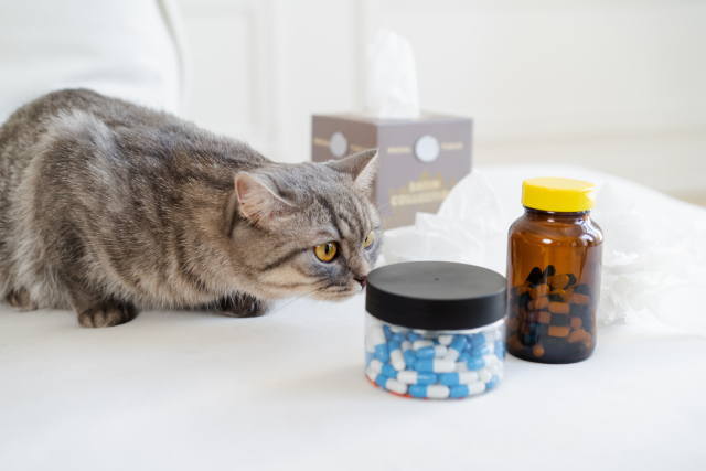 動物用医薬品販売業の種類