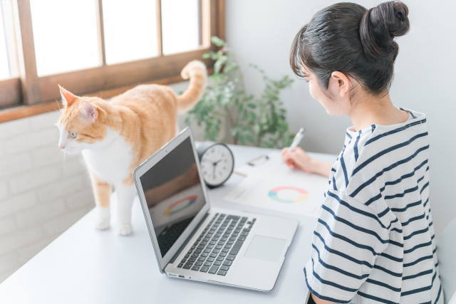 ペット事業の業種ごとに必要な手続き