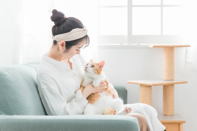 ペットを迎える前の確認事項を整理する女性と猫